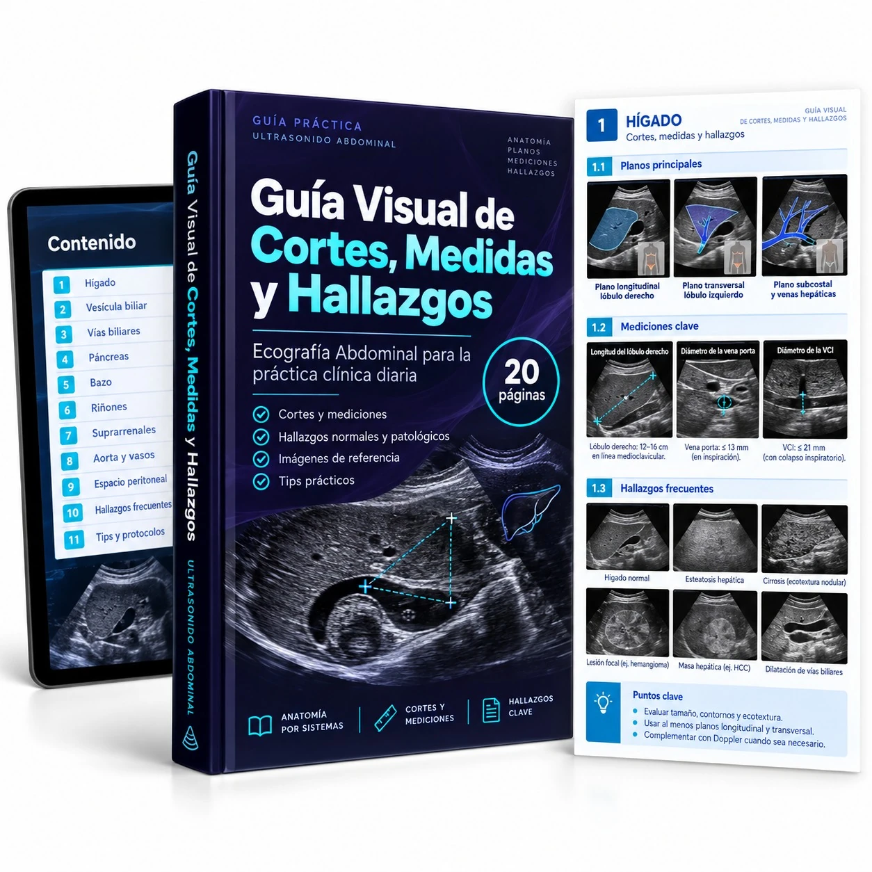 Mockup de la guía visual de mediciones y valores de referencia en ultrasonografía abdominal
